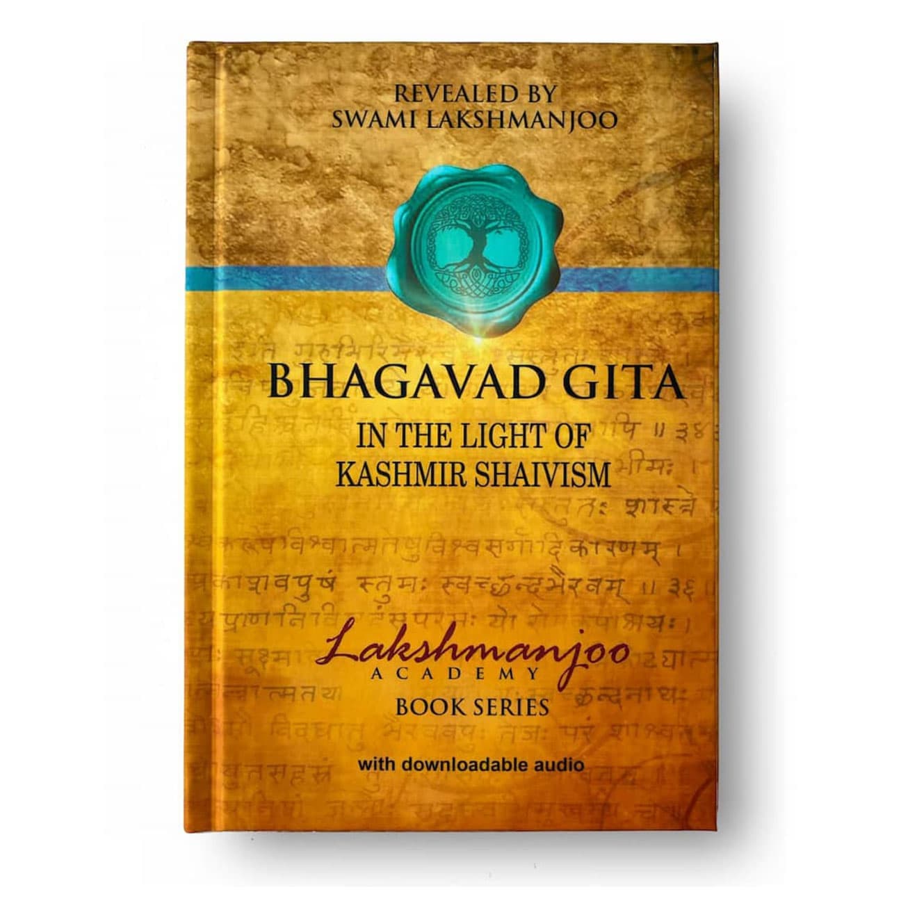 Bhagavad Gita: In the Light of Kashmir Shaivism